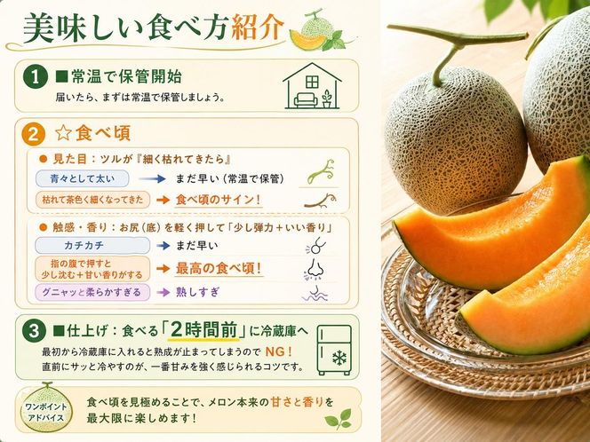〈先行受付〉【2027年夏発送】北海道 赤肉メロン 北の女王 青肉メロン 月雫 秀品 約1.6kg 各1玉 令和9年 メロン 果物 フルーツ 旬 希少 甘い 豊潤 国産 産地直送 ギフト お祝い 贈答品 贈り物 お中元 お取り寄せ 送料無料 