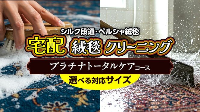 ＼選べるサイズ／宅配 絨毯 クリーニング チケット │ プラチナトータルケアコース 宅配 クリーニング 洗濯 洗浄 清潔 じゅうたん ラグ カーペット 丸洗い マット ニオイ対策 大掃除 ダニ 対策 敷物