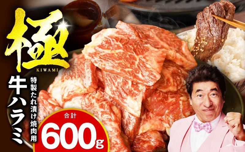 mrz0388 [お試し]牛肉 ハラミ 600g(300g×2P)[氷温熟成×特製ダレ]