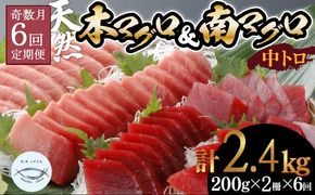 【６回定期便】天然本マグロ　天然南マグロ　中トロ　各1柵　奇数月にお届け　eb017