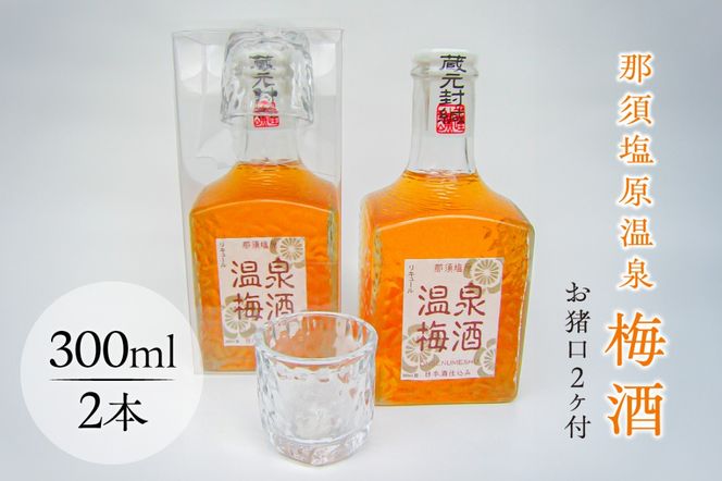 yȖ،ߐ{szns049-010@ߐ{~(2t)