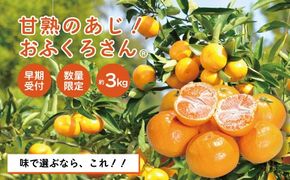 【早期受付・数量限定】農家直送！四万十みかん《おふくろさん》3kg 家庭用 予約 先行 先行受付 早期 早期受付 数量限定 2025年配送 家庭用 甘い あまい 旬 温州 温州みかん みかん 蜜柑 ミカン オレンジ フルーツ 果物 くだもの ジューシー 柑橘 四万十市 四万十 しまんと 高知県 高知 南国 土佐 四国 産地直送 農家直送 【2025年11月中旬より順次配送】25-550