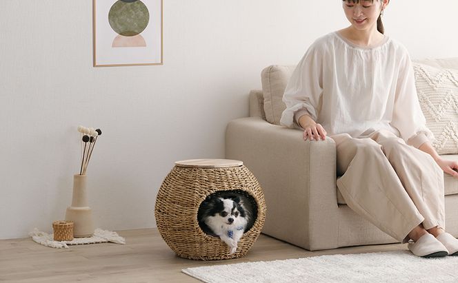 ペットハウス 猫 犬 ペット ベッド PHR-B4035 アイリスオーヤマ おしゃれ ラタン調 ボール 室内 オールシーズン ナチュラル クッション付き 