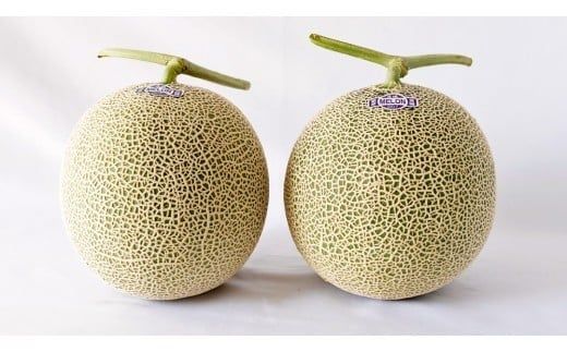 完熟 アールスメロン 3玉 2026年産 先行予約 メロン マスクメロン 青肉 果物 フルーツ 茨城県産 期間限定 数量限定 [AF004ci]