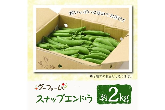 ＜先行予約受付中！2026年2月下旬～4月上旬の間に発送予定＞期間限定！スナップエンドウ(約2kg)野菜 やさい 旬 新鮮 サラダ そら豆 えんどう豆  宮崎県産【GF-1】【グーファーム】