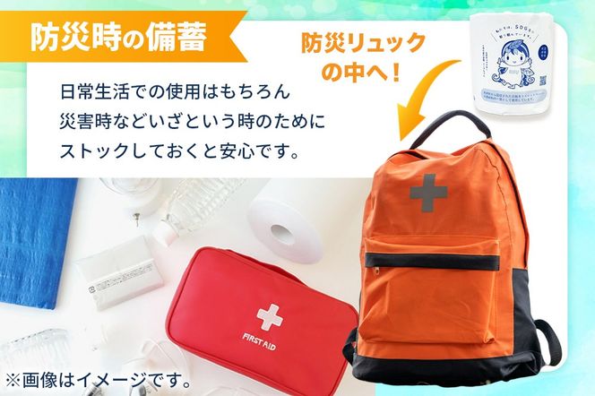 【利府町オリジナル】トイレットペーパー（ロール数×48個）ソフト シングル 国産 再生紙|06_sik-014801