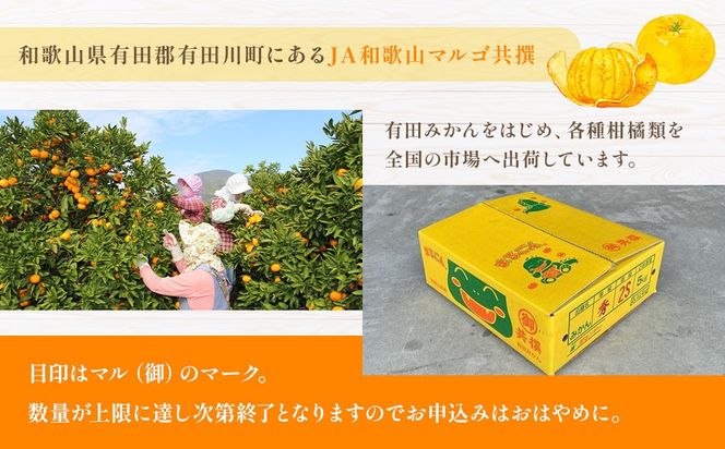 有田みかん 5kg 2Sサイズ 光センサー使用 高糖度 CM01