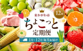 東かがわ市ちょこっと定期便(12回) みかん いちご 讃岐うどん アスパラ トマト メロン コーン 豚肉 シャインマスカット 卵 キウイ 黒毛和牛 香川