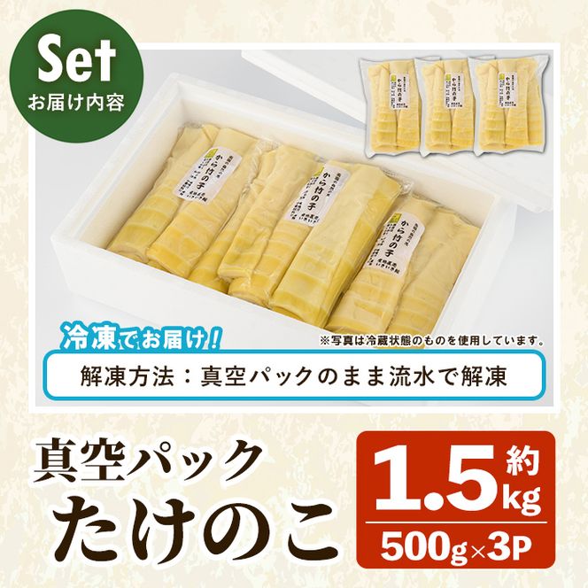 真空パックたけのこ(約1.5kg・500g×3P) 国産 野菜 たけのこ タケノコ 淡竹 ハチク はちく 唐竹 カラタケ からたけ 筍 旬 煮物 天ぷら つくだ煮【あくね旬の店いきいき館】akn015-22