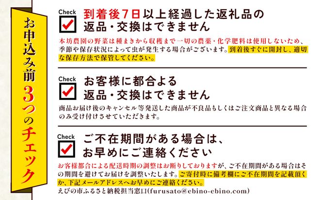 【3回定期便】特別栽培季節のお野菜セット 8品 野菜 新鮮 やさい 旬 詰合せ 国産 宮崎県 九州 送料無料