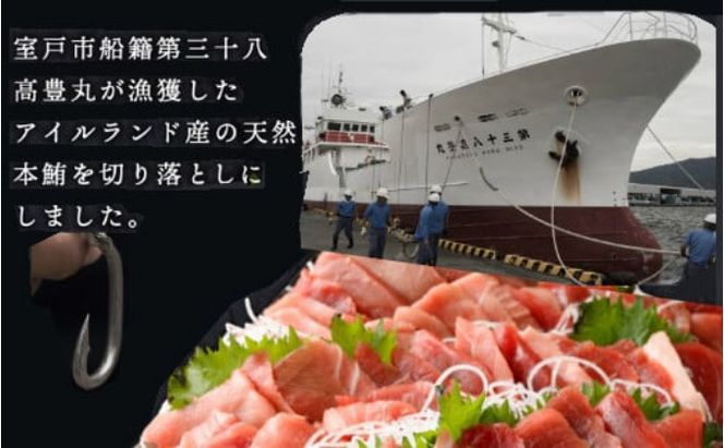 【定期便 / ３ヶ月連続】 天然本マグロ (赤身・中とろ) 切り落とし 合計1.2㎏  (100g×4パック×3回) マグロ 刺身 刺し身 魚 惣菜 海鮮丼 魚介類 食べきりサイズ 小分け 冷凍 訳あり 不揃い 傷 規格外 定期 連続 30000 室戸 mgr all tk072