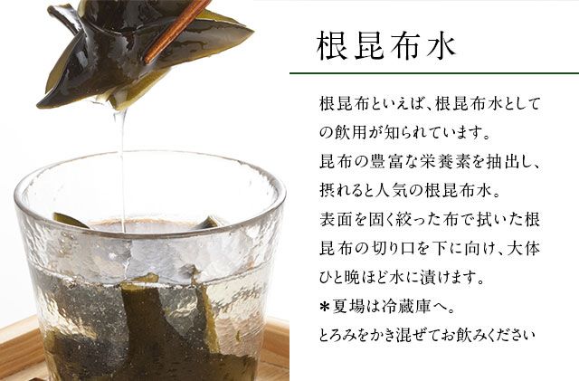 北海道礼文島産 根昆布 900g（300g×3個） 魚貝類 こんぶ 