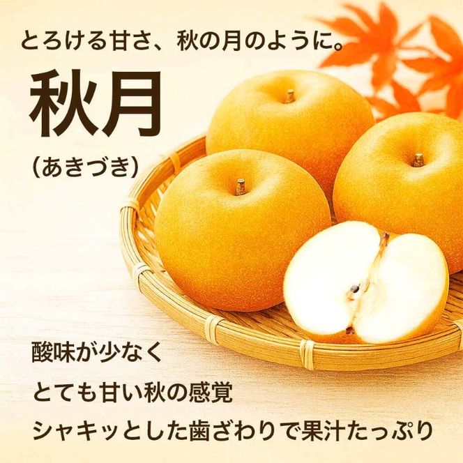 秋月梨 約1.8kg（5～8玉）【梨 なし 果物 フルーツ デザート 食後 熊本県産】※配送不可：離島
