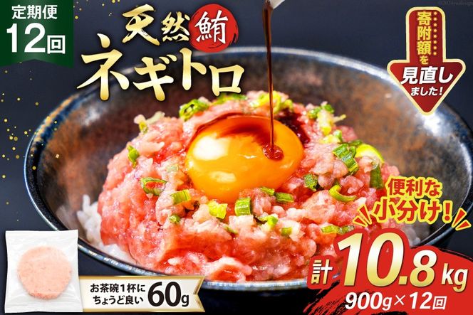 12回 定期便 天然 マグロ ネギトロ まぐろたたき 冷凍 60g 15個 計900g [トライ産業 静岡県 吉田町 22424394] 小分け 個包装 まぐろのたたき 鮪 まぐろ ネギトロ丼 ねぎとろ マグロたたき