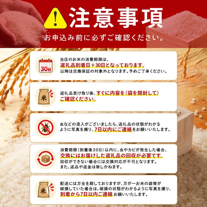 R7年産取手市産コシヒカリ 精米5kg|お米 米 こしひかり コシヒカリ 白米 茨城県 取手市（BS001）