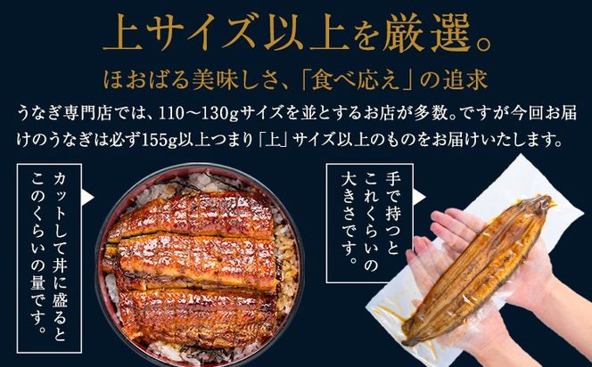 【12ヶ月定期便】うなぎ 国産 鰻 特上 うまか鰻炭火焼 《お申込み翌月から発送(土日祝除く)》2尾 合計360g以上 九州産 たれ さんしょう 付 ウナギ unagi 蒲焼 うなぎの蒲焼 特大 訳あり 定期便 蒲焼き ふるさとのうぜい 簡易包装 不揃い 規格外---mf_fsktei_24_146500_mo12num1_2p---