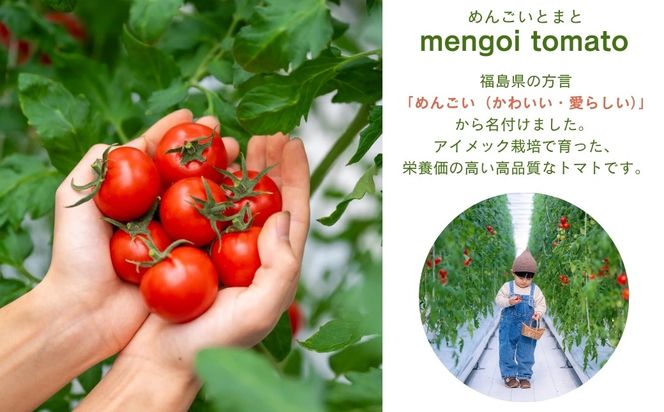 めんごいとまと TYレッドオーレ 150g×12パック ( 計1.8kg ) 4月発送 めんごいとまとたむら アイメック栽培 ミニトマト トマト プチトマト 冬トマト 野菜 農家直送 ギフト プレゼント 新鮮 福島県 田村市 堀越農園 N057-003
