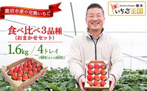 【先行予約/数量限定】【贅沢いちごセット】完熟いちご食べ比べ3品種（48粒または60粒）おまかせセット4トレイ1600g | 栃木県 鹿沼市 産地直送 旬 いちご こだわり 高級品 贈答用 イチゴ 苺 果物 フルーツ 期間限定 ※2026年12月～発送