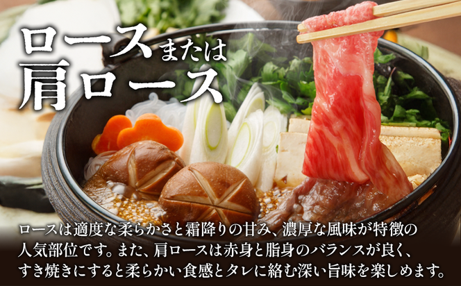 宮崎県産 黒牛 すき焼き しゃぶしゃぶ 赤身 牛肉 すき焼き肉 500g 1000g ロースまたは肩ロース モモ 0.5kg 1kg すきやき 肉 牛 国産牛 食べ比べ 小分け 真空パック うす 冷凍 贈答 ギフト 年末 国産 えびの市