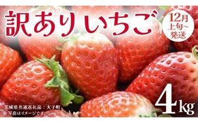 訳あり いちご 4kg【2026年12月上旬発送開始】(茨城県共通返礼品：大子町) 苺 果物 フルーツ 果実 ご家庭用