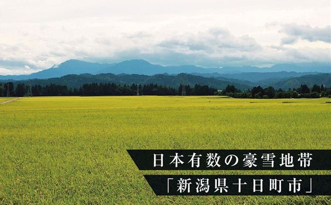 【お試し無洗米】三角おにぎり米　1kg×8個　新潟県魚沼産コシヒカリ　10数年ぶりの復刻パッケージ 米 こしひかり 白米 無洗米 ご飯