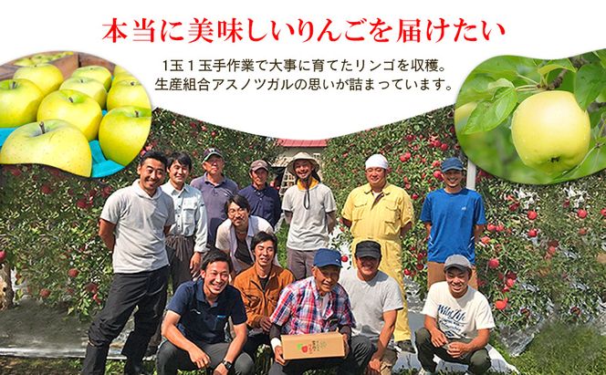 りんご【1月・2月発送】糖度13度以上 訳あり品 家庭用 シナノゴールド 約5kg【青森りんご 果物 フルーツ デザート 食後 青森県産 産地直送 贈り物】