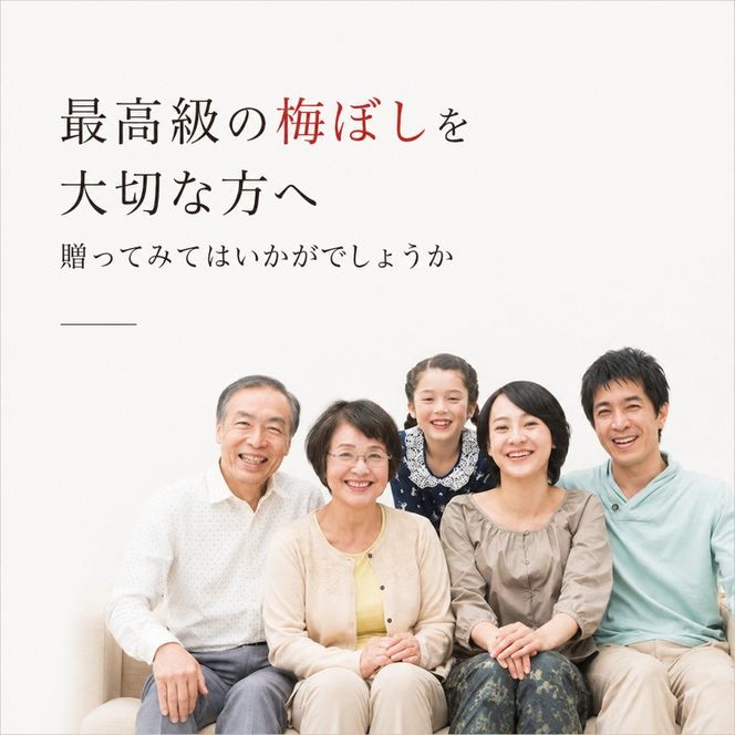 【ふるさと納税】梅干し 梅風韻 しそ 選べる容量 うすしお しそ漬 食べ比べ 紅映梅 福井梅 うめぼし 梅 ご飯のお供 おにぎり 福井県産 福井県　若狭町