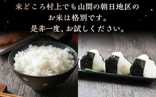【令和7年産米】【6ヶ月定期便】村上市産 新之助 36kg （6kg×6ヶ月）コース 1027037