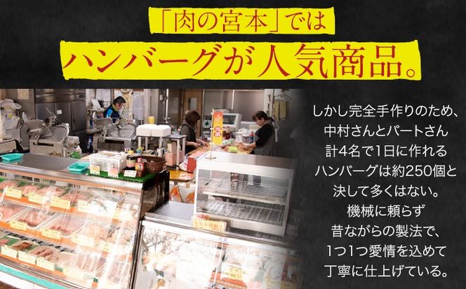 ハンバーグ 馬肉入り 手作りハンバーグ 9個  (1個：約150g)  定期便 馬肉ハンバーグ 肉 馬肉 手作り 肉の宮本《お申込み月の翌月から出荷開始》惣菜 おかず 肉 牛 豚---sn_fmybhtei_r8_31500_9i_mo3---