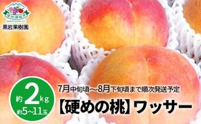 【硬めの桃】信州須坂の桃 ワッサー 特秀品 約2kg (約5～11玉) 《黒岩果樹園》■2025年発送■※7月中旬頃～8月下旬頃まで順次発送予定