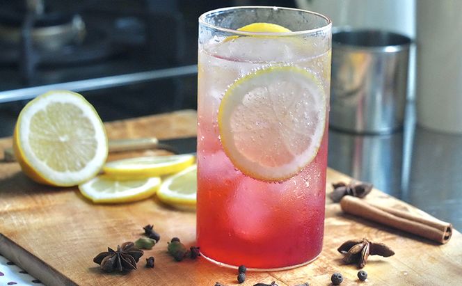 厚岸ハスカ 冷凍ハスカップ 1袋（500g） アントシアニン スーパーフード 果実 ビタミン ミネラル 抗酸化作用 ポリフェノール 北海道産 