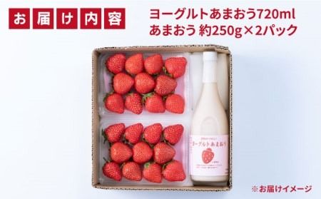 【冬】ヨーグルトあまおう720ml×あまおう約250g×2パック 糸島市 / 南国フルーツ株式会社 [AIK014]