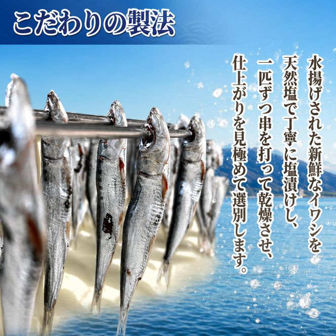 小筋 いわし めざし 60g×5袋 マイワシ ウルメイワシ 鰯 真イワシ 魚 魚介 水産 網焼き 炭火焼 おつまみ 酒の肴 ご飯のお供 京都 宮津市 myz02 myz11 myz17