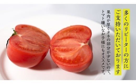 てるて姫 大箱 約2.6kg × 1箱 【20～35玉/1箱】 2026年産 野菜ソムリエサミット 金賞 糖度9度 以上 野菜 フルーツトマト フルーツ トマト とまと [AF109ci]