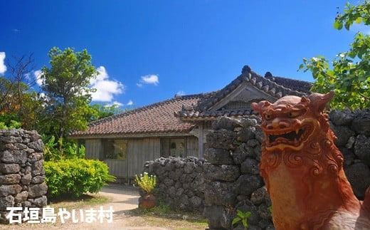 【石垣市】しろくまツアーで利用可能なWEB旅行クーポン (600,000円分)【 沖縄県 石垣市 石垣島 ツアー 紙券 クーポン 旅行券 クーポン券 旅行 宿泊 観光 旅 】WB-14