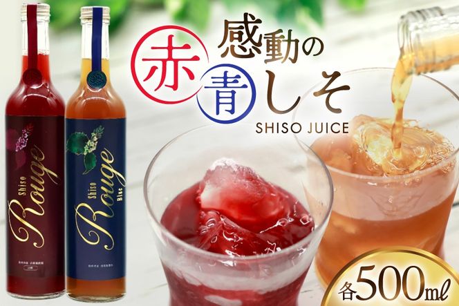 y茧szAJ307 ̐ԂW[X r 500ml ̐W[X r 500ml [ W[X hW[X Ԃ  茧 s ]