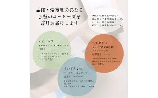 【定期便：6ヶ月連続でお届け】シングルオリジンコーヒー100g × 3品種（豆）計300g×6ヶ月 1075025 コーヒー 珈琲 コーヒー豆