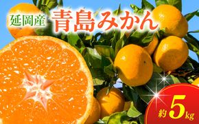 青島みかん（5kg）12月下旬から発送 N050-YA2274