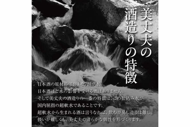 美丈夫 大吟醸 薫 720ml×2本 加東市特A地区 東条産山田錦使用 化粧箱入[ フロンティア東条 濱川商店 日本酒 酒 お酒 四合瓶 贈答品 ] 大吟醸酒 