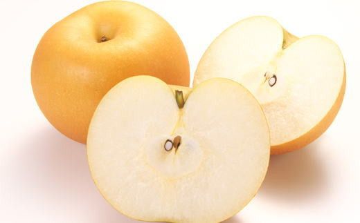 【2026年度発送】和歌山県産の梨約2kg(品種おまかせ)【2026年8月下旬～2026年9月下旬頃に順次発送予定】【tec925C】