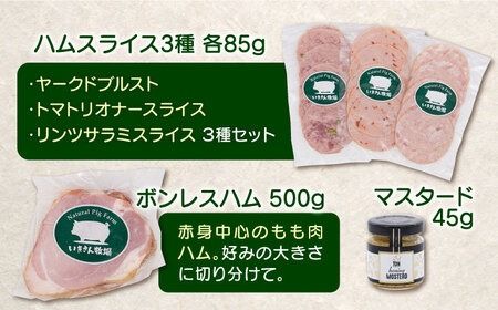 一貴山豚 ハム・ソーセージ 9種セット 『極』 糸島市 / いきさん牧場 豚 肉 [AGB024] 豚肉 セット ハム ソーセージ セット スライス スモーク ギフト セット
