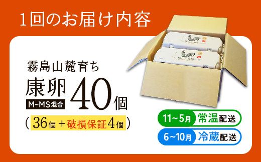 【ふるさと納税】卵【3回 定期便】霧島山麓育ち こだわり卵 康卵 計40個（36個 + 割れ保証4個）3回 計 120個(108個 + 割れ保証 12個) たまご 玉子 卵焼き 玉子焼き たまご焼き 生卵 鶏卵 たまごかけごはん 国産 九州産 宮崎県産 送料無料