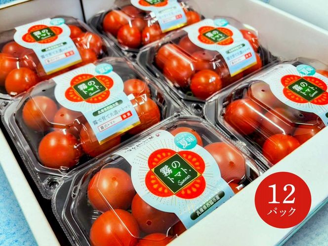 【霧で育てた濃厚な味】霧のトマトSummer 200ｇ×12パック（16-18）
