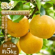 【酸味控えめで甘い】果汁あふれる熊本県産 筑水 10～15個(約5kg) 1箱 筑水 梨 フルーツ 甘い 濃厚 農家直送 ギフト 贈答用 家庭用 お取り寄せ 熊本県