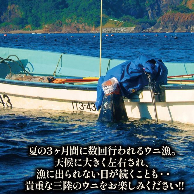 【2026年 先行予約】 牛乳瓶 生うに 240g(120g×2本) うに 冷蔵 保存料無添加 ミョウバン不使用 ウニ 雲丹 ご飯 丼 海鮮丼 ウニ丼 牛乳 瓶うに 贈り物 ギフト おつまみ 岩手県産 鎌田水産 テレビ TV 放送 ニュース 番組 三陸 岩手県 大船渡市 被災 震災 火災