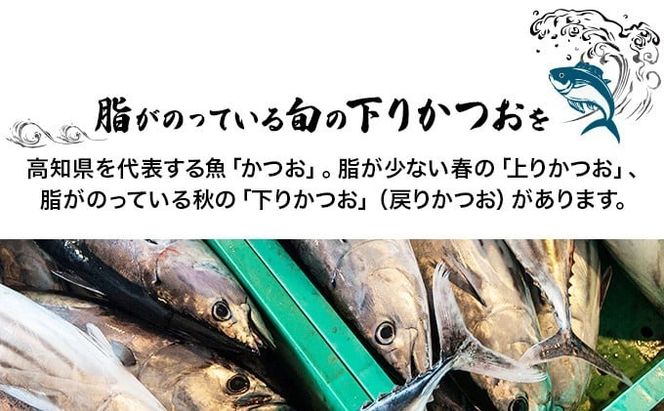 【選べる回数×節数！定期便】本場高知 かつおのたたき（1節300～400g／2節600～800g）塩・タレ付き 計3回／6回／12回 頒布会 冷凍 送料無料