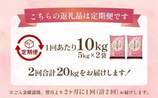 【2ヶ月毎2回定期便】 はるかおり 10kg 計20kg ／ 米 コメ お米 ライス ご飯 ごはん 飯 食品 精米 定期便 常温 福岡県 香春町
