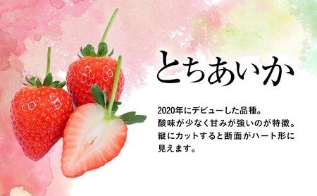 【訳あり】いちご とちあいか不揃い粒 2kg×3箱 計6kg ※2027年5月～発送