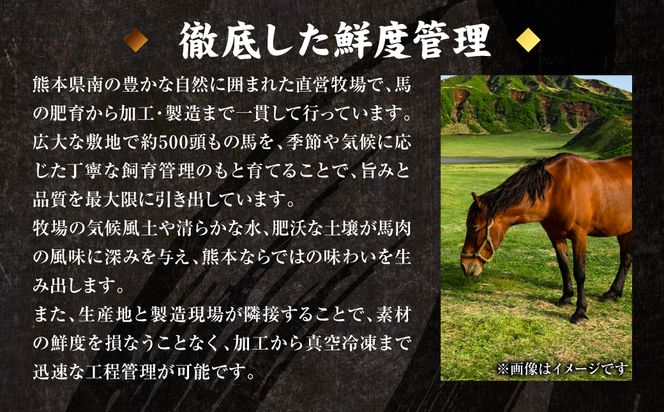 国産 熊本肥育 赤身 馬刺し 合計700g （100g×7パック） 馬肉 刺し身 刺身 新鮮 ヘルシー おつまみ 晩酌 贈り物 真空パック ブロック 冷凍 熊本県 八代市
