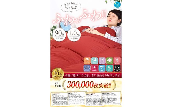 羽毛布団シングル掛け布団日本製ダウン90％1.0kg立体スクエアキルト8か所ループ付き無地レッド 寝具 軽量 抗菌 消臭 立体キルト 赤 